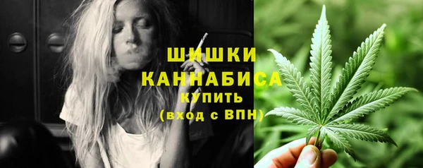 спайс Алзамай