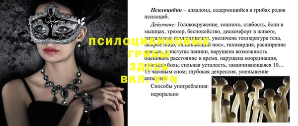кокс Алексеевка