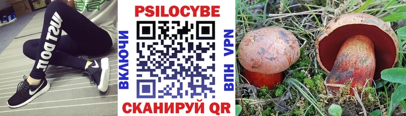 хочу наркоту  Лениногорск  Галлюциногенные грибы прущие грибы 