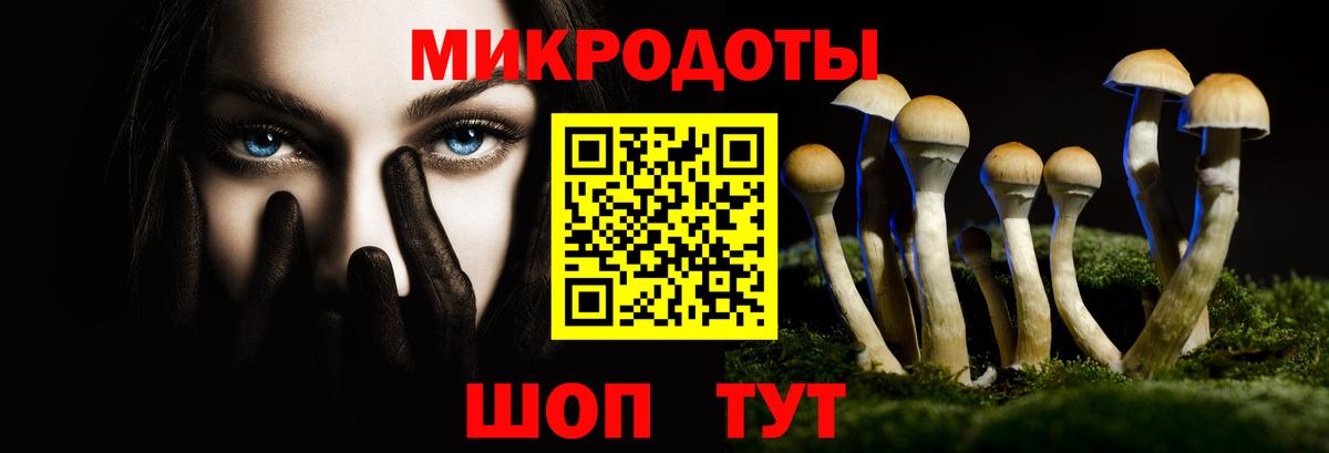 Лениногорск  купить закладку  Псилоцибиновые грибы Psilocybe  Вход с VPN  Галлюциногенные грибы Cubensis 