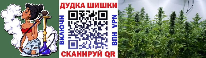 OMG ONION  Лениногорск  Каннабис Bruce Banner 
