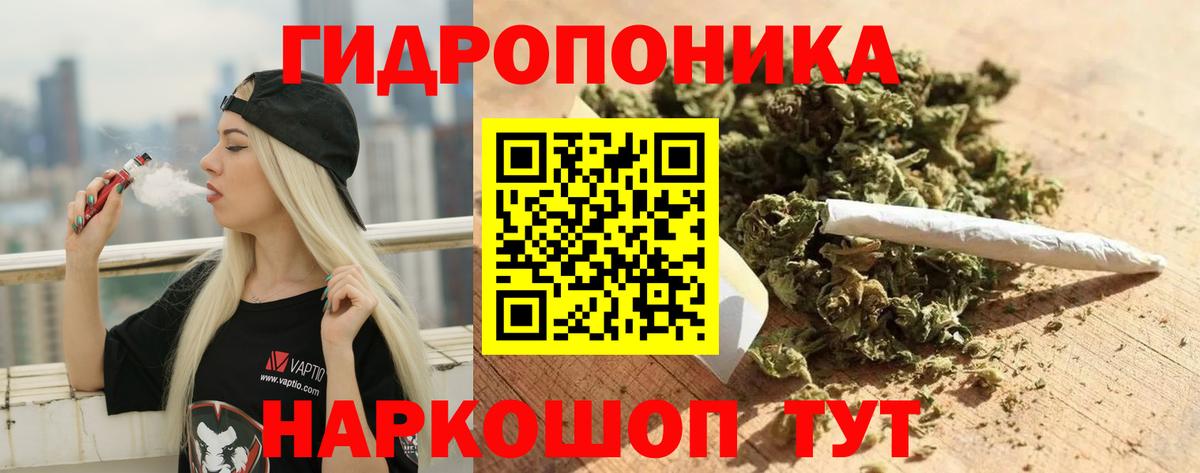 Шишки марихуана VHQ  Вход с VPN  Шишки марихуана LSD WEED  Конопля ГИДРОПОН  Лениногорск 