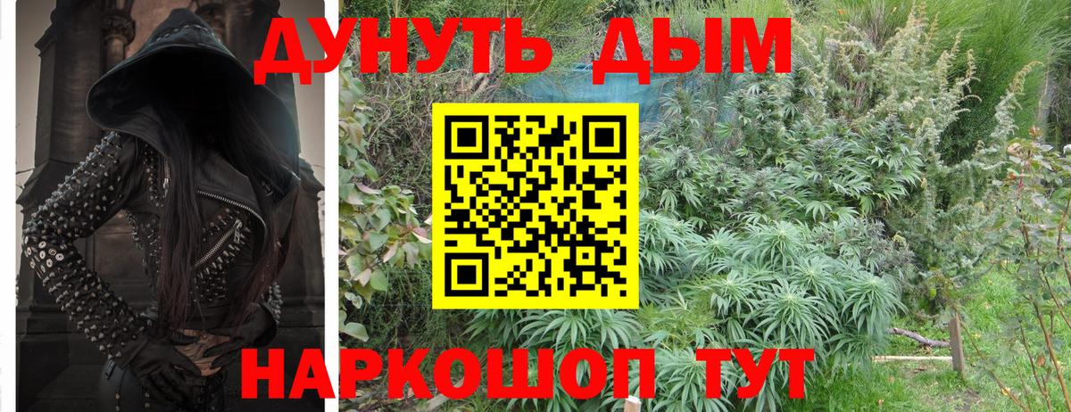 Бошки марихуана Bruce Banner Лениногорск